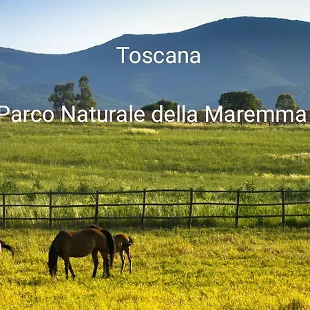 La Libellula Lägenhet